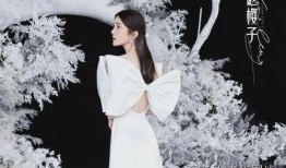 博主爆料浪姐视频大全最新,揭秘最新爆料，精彩瞬间一网打尽！